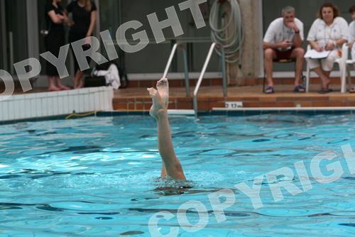 IMG_3460