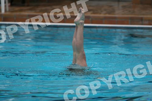 IMG_7493