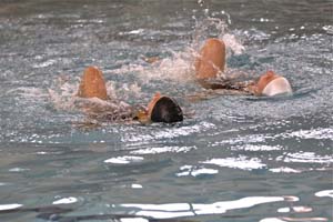 IMG_0937_2