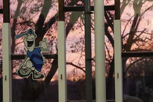 _MG_0035
