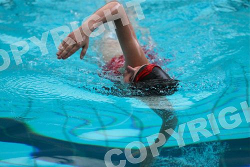 IMG_0646